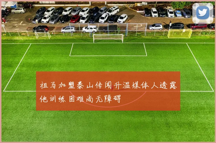 祖马加盟泰山传闻升温媒体人透露他训练困难尚无障碍