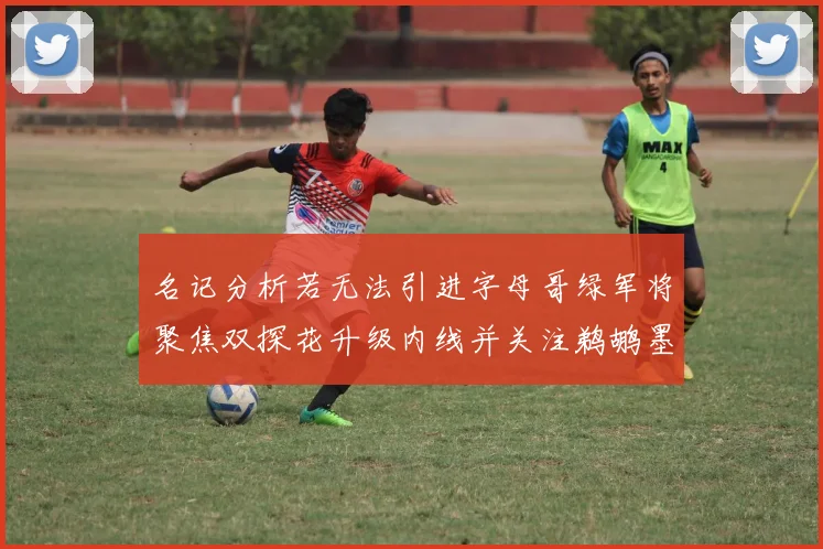 名记分析若无法引进字母哥绿军将聚焦双探花升级内线并关注鹈鹕墨菲