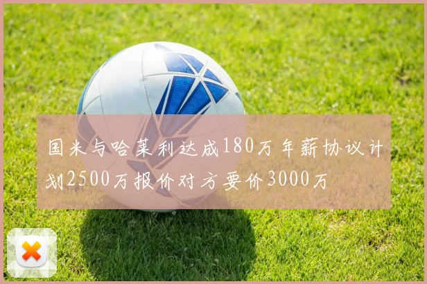 国米与哈莱利达成180万年薪协议计划2500万报价对方要价3000万